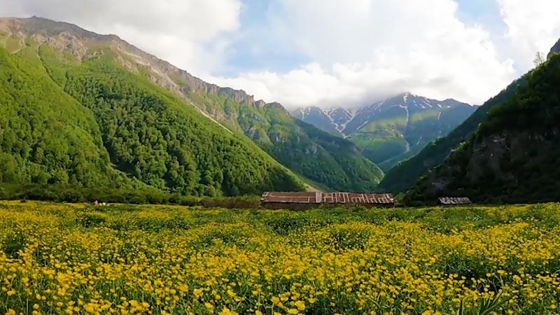 tourImageSmall